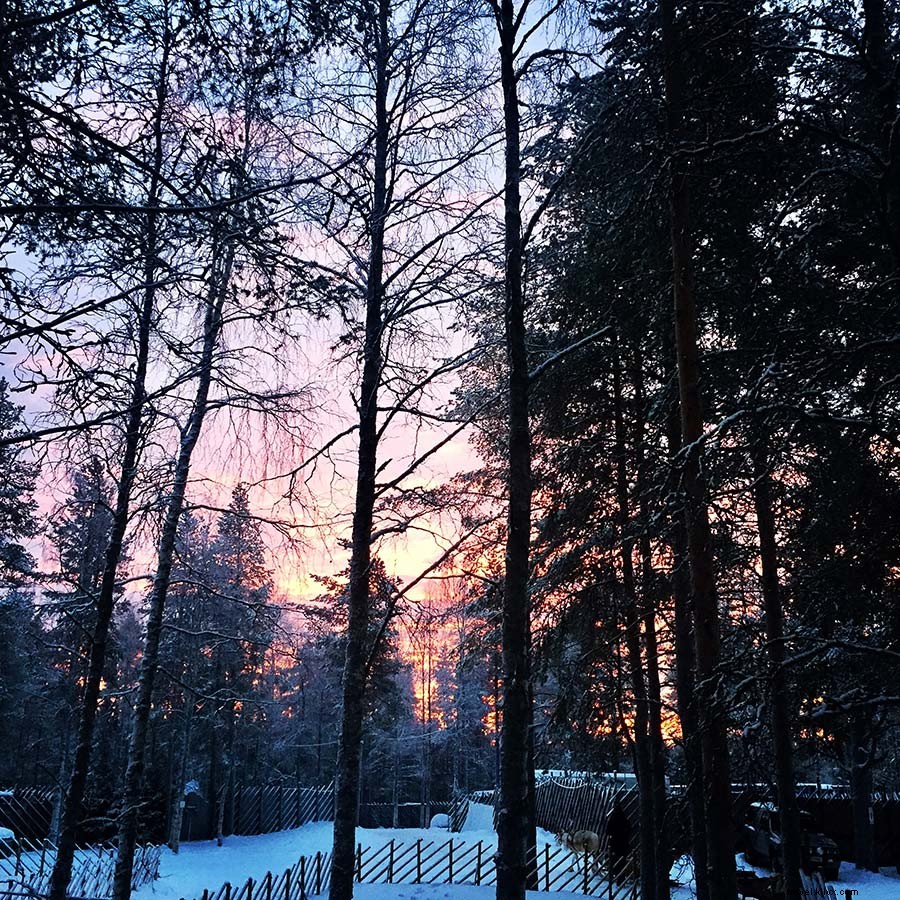 Serenity in Lapland: Susan McPherson s Inspiring Arctic Solo Escape