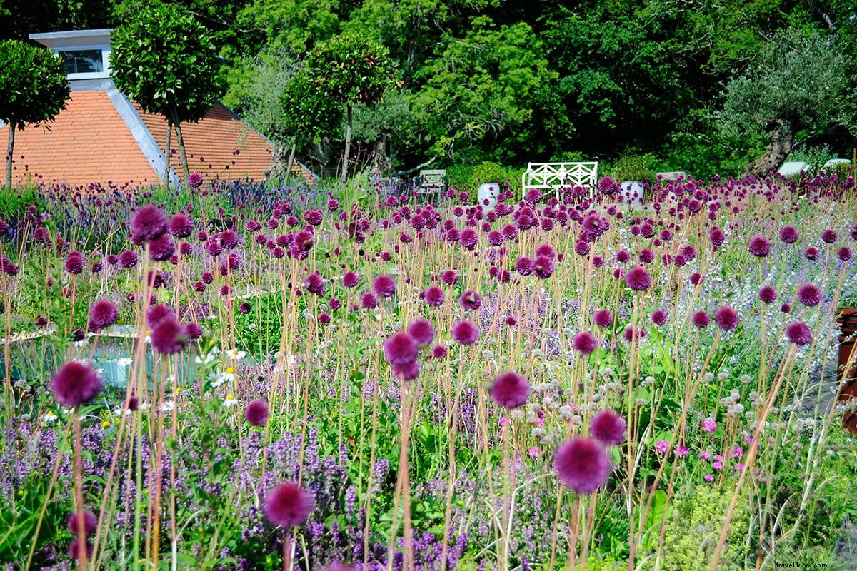 Escape to Fairy Tale Charm at a Historic Forest Inn in Hampshire, England