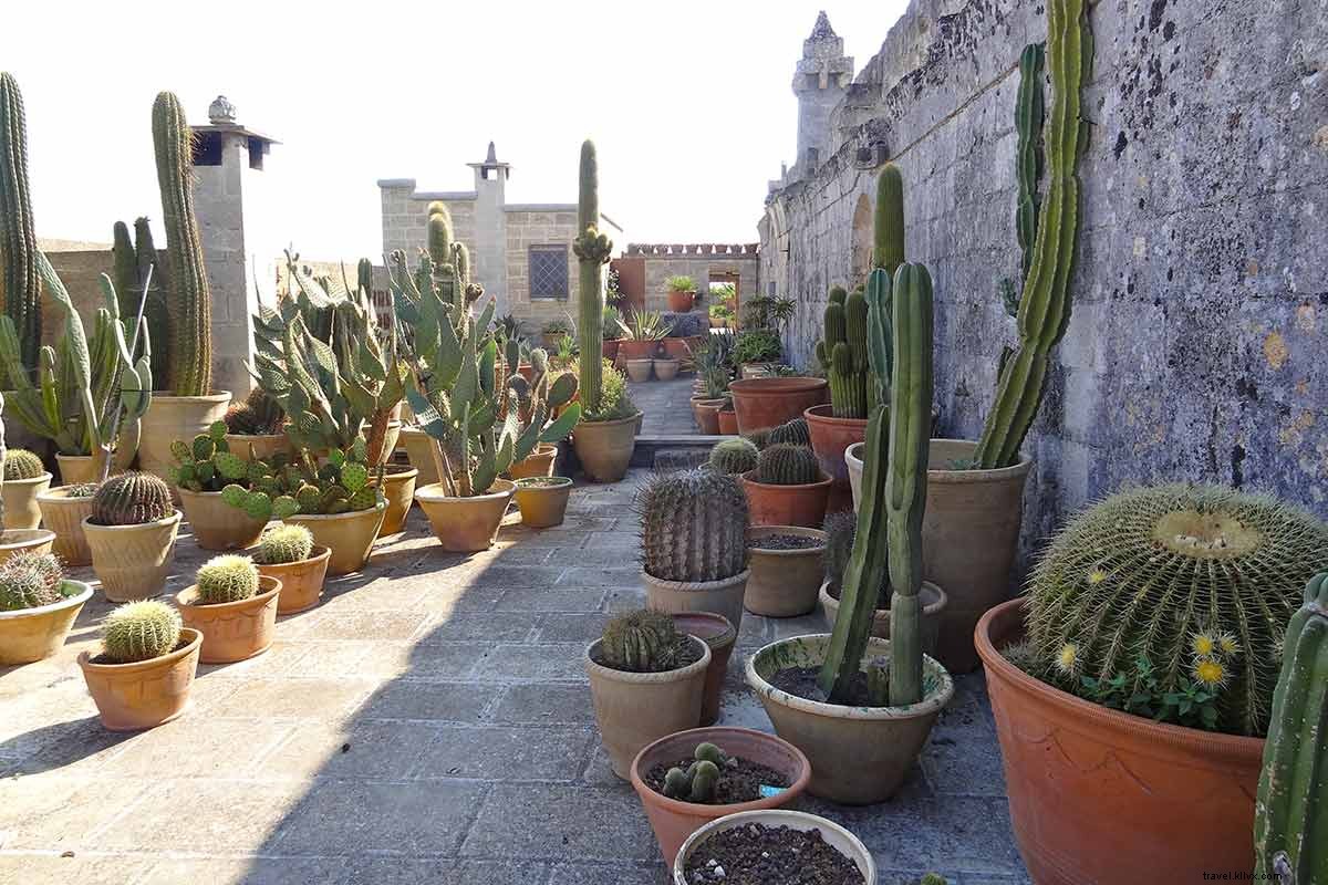 Discover Pure Italian Magic: Il Convento di Santa Maria di Costantinopoli, Puglia s Secluded Convent-Turned-Palazzo