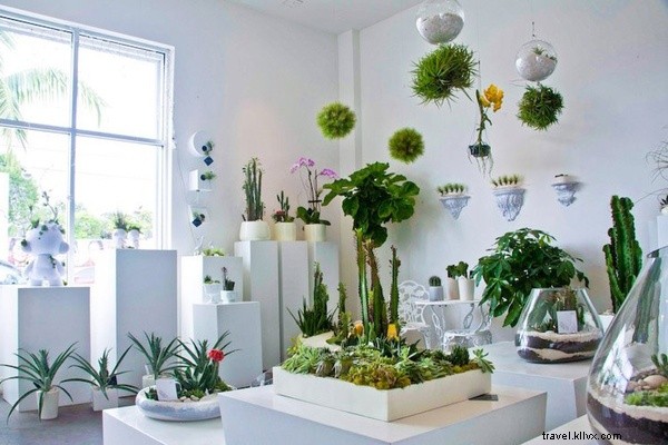 Maximize Your Day Off in Miami: Wynwood Art, Shops & Eats