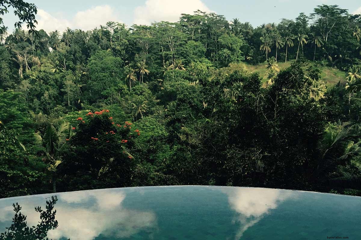 Celebrity Chef Scott Conant s Epic Bali Adventure: Gourmet Eats on a Budget