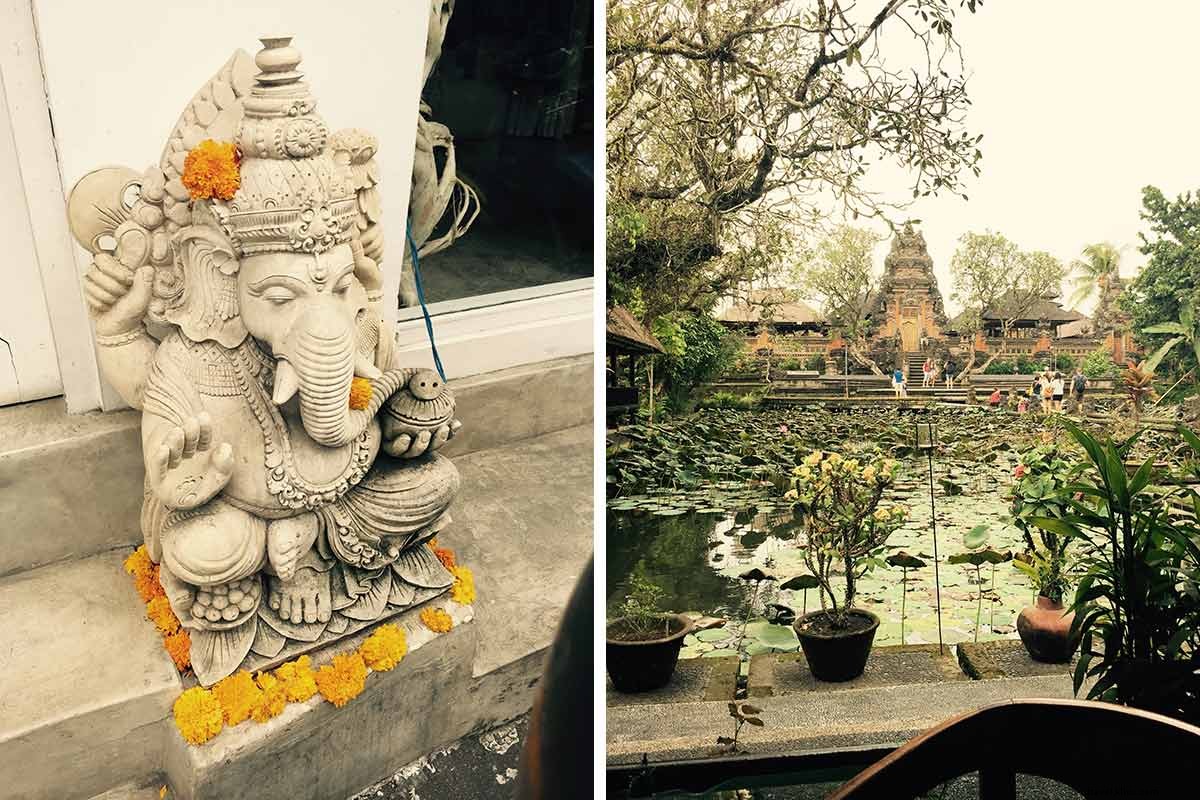 Celebrity Chef Scott Conant s Epic Bali Adventure: Gourmet Eats on a Budget