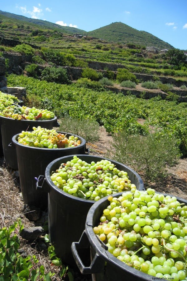 Discover Pantelleria: Italy s Ultimate Secret Island Escape Between Sicily and Tunisia