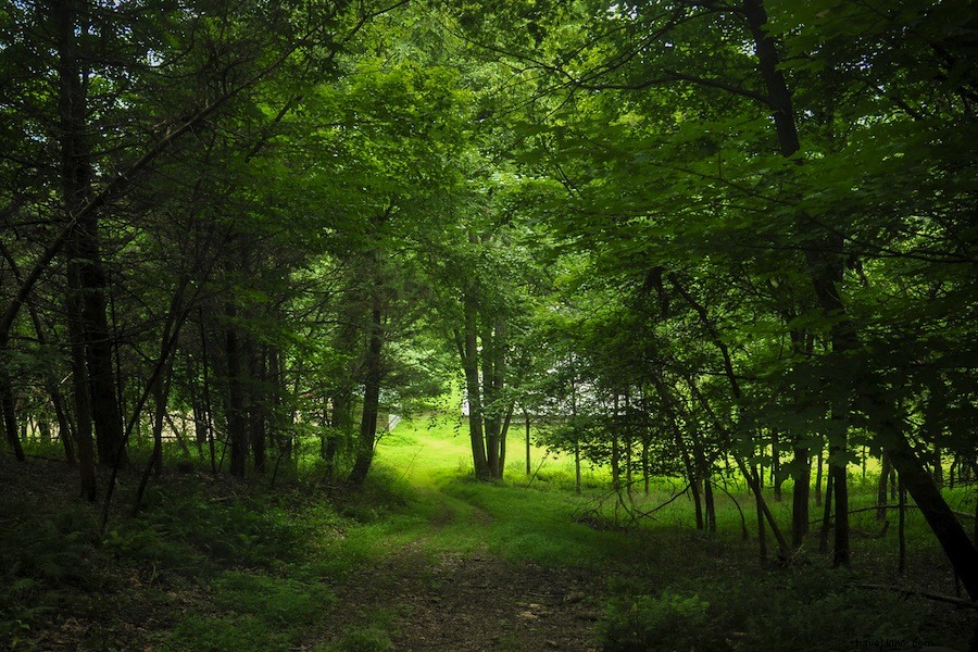 Old Stone Farm: Hudson Valley s Enchanting Inn, Spa & Holistic Retreat Review