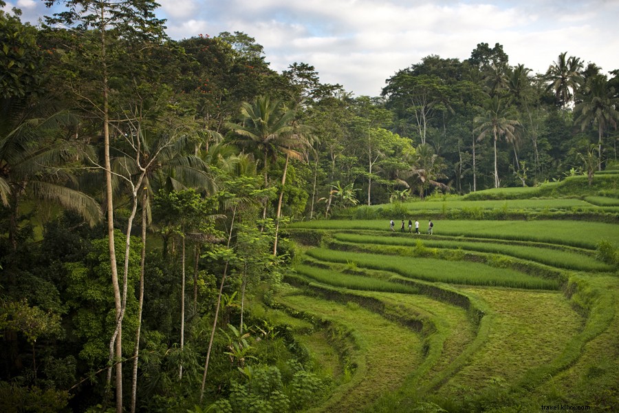 Discover 8 Blissful Havens in Bali for Ultimate Serenity