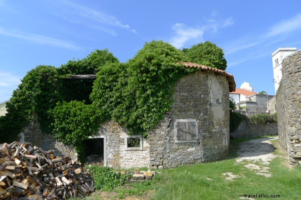 Discover Istria, Croatia: A Charming Rival to Italy s Best-Kept Secrets