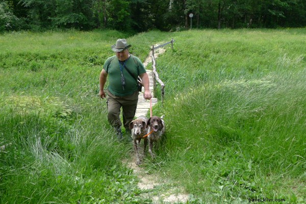 Discover Istria, Croatia: A Charming Rival to Italy s Best-Kept Secrets