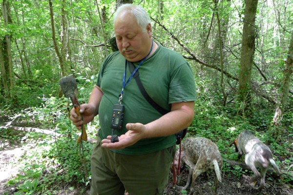 Discover Istria, Croatia: A Charming Rival to Italy s Best-Kept Secrets