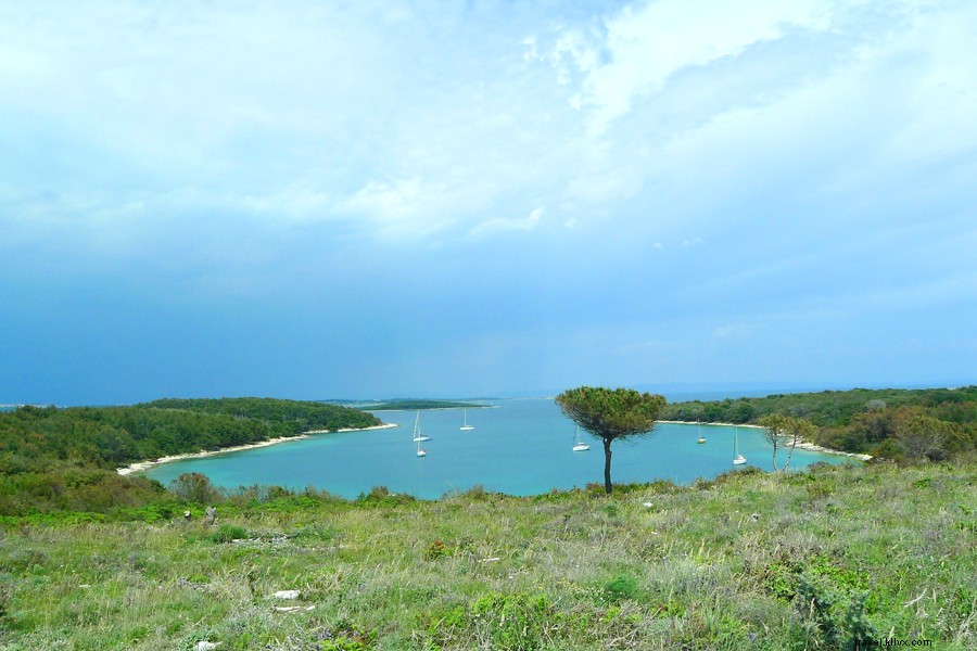 Discover Istria, Croatia: A Charming Rival to Italy s Best-Kept Secrets