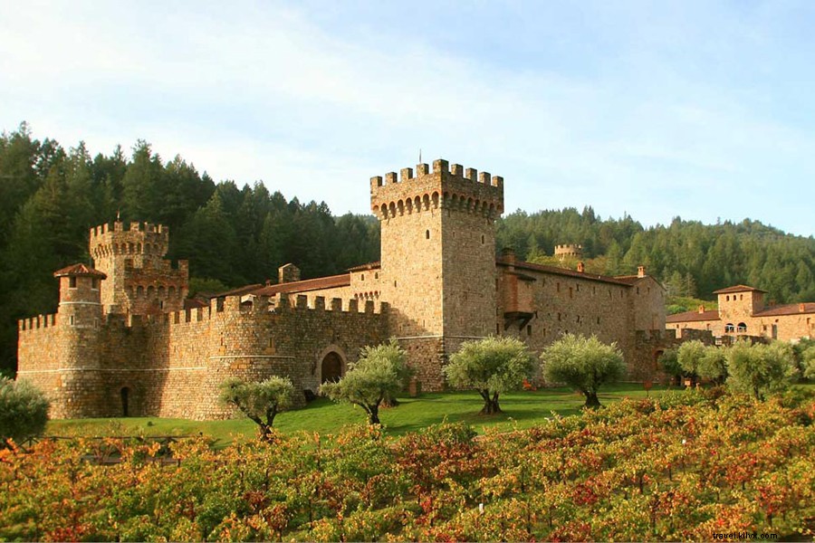 Discover Napa Valley s Hidden Treasures: Insider Tips from Local Expert Julia Lake