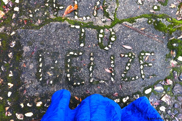 Blancaneaux Lodge, Belize: Francis Ford Coppola s Luxurious Jungle Oasis