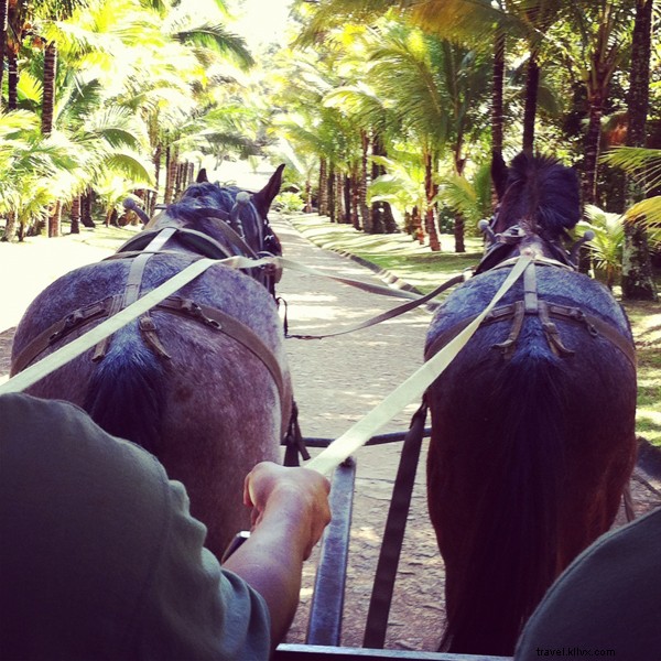 Blancaneaux Lodge, Belize: Francis Ford Coppola s Luxurious Jungle Oasis