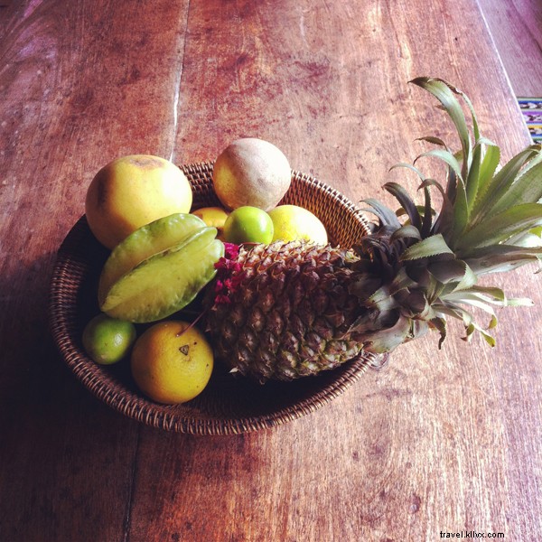 Blancaneaux Lodge, Belize: Francis Ford Coppola s Luxurious Jungle Oasis