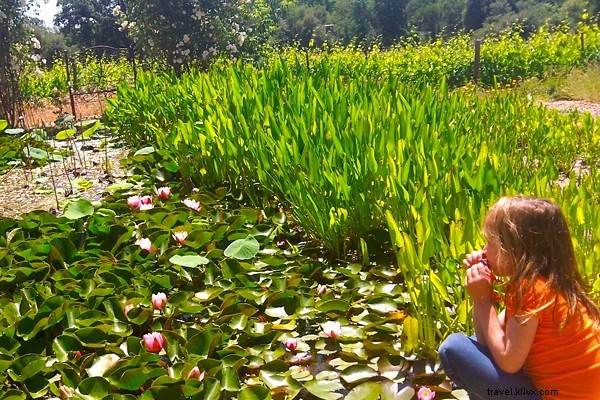 An Eerie Night with Mark Twain s Ghost at Murphys Historic Hotel