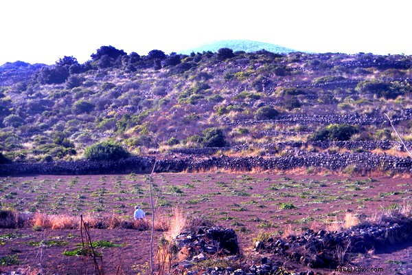 Pantelleria: Italy s Remote Black-Rock Island, the Ultimate Anti-Capri Escape