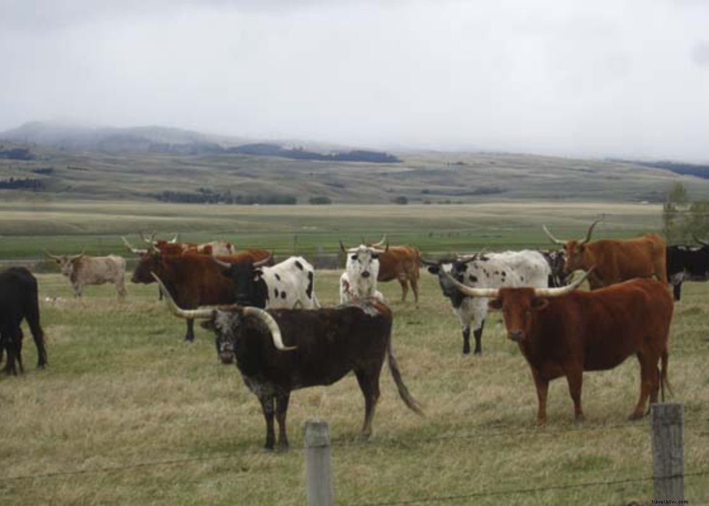 Just Back From Philipsburg, Montana: Fashion Insider George Miscamble s Road Trip Adventure