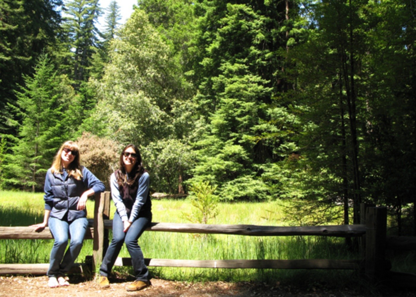 Santa Cruz Getaway: From Bay Area to Iconic Boardwalk Adventures