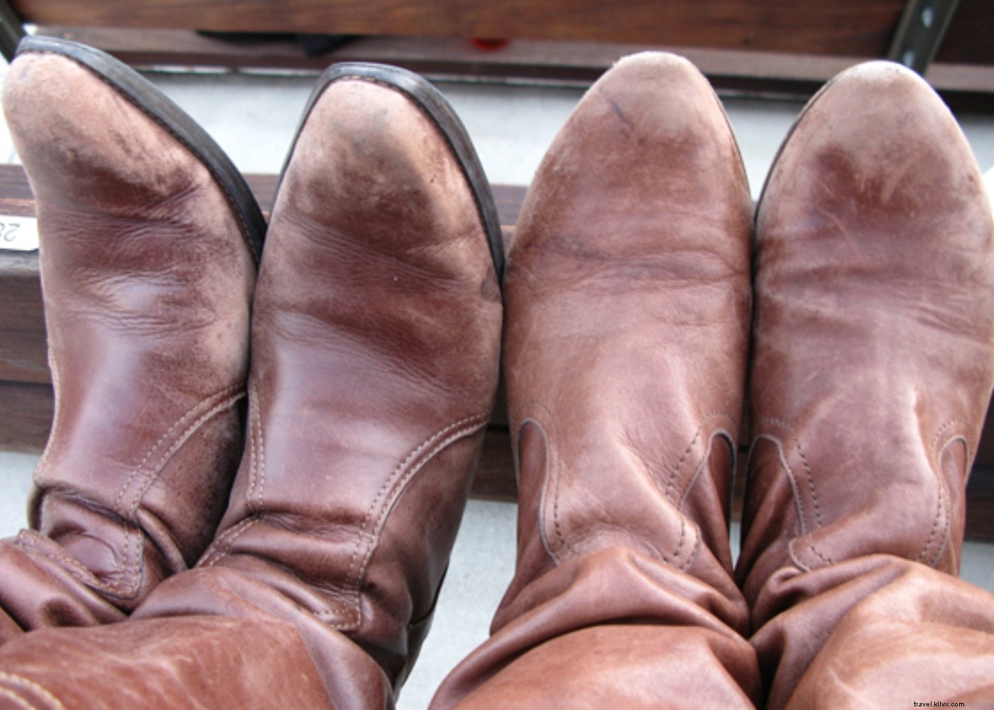 Santa Cruz Getaway: From Bay Area to Iconic Boardwalk Adventures