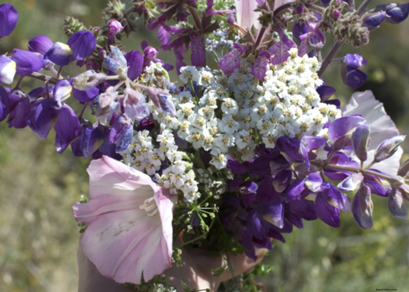 Just Back from Big Sur: A Nature Lover s Weekend of Hiking and Coastal Eats