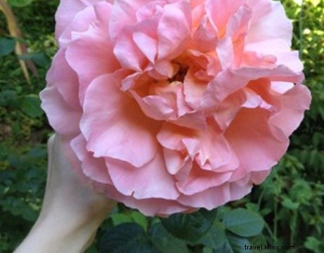 Just Back from Big Sur: A Nature Lover s Weekend of Hiking and Coastal Eats