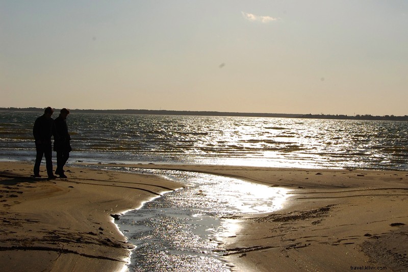 Discover the Serene Joys of the Off-Season Hamptons