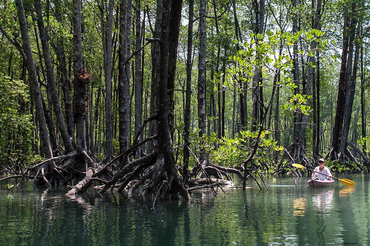 Travel Experts  Top Destinations for 2020: Insider Recommendations