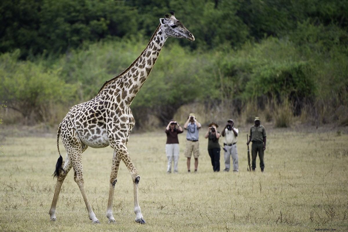 Exclusive March Travel Deals & Latest News: Your Go-To Inspiration Hub