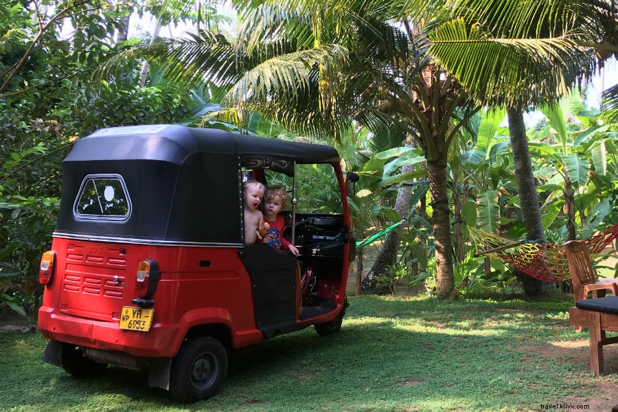 2018 s Top Inspiring Travel Stories: Real Adventures and Serendipitous Journeys