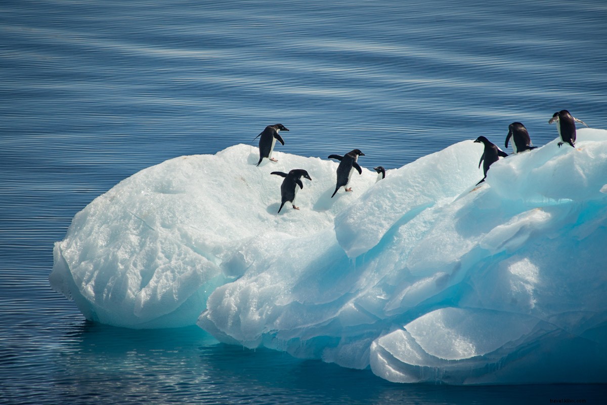 Timely Travel Deals & Exclusive News – Updated Regularly