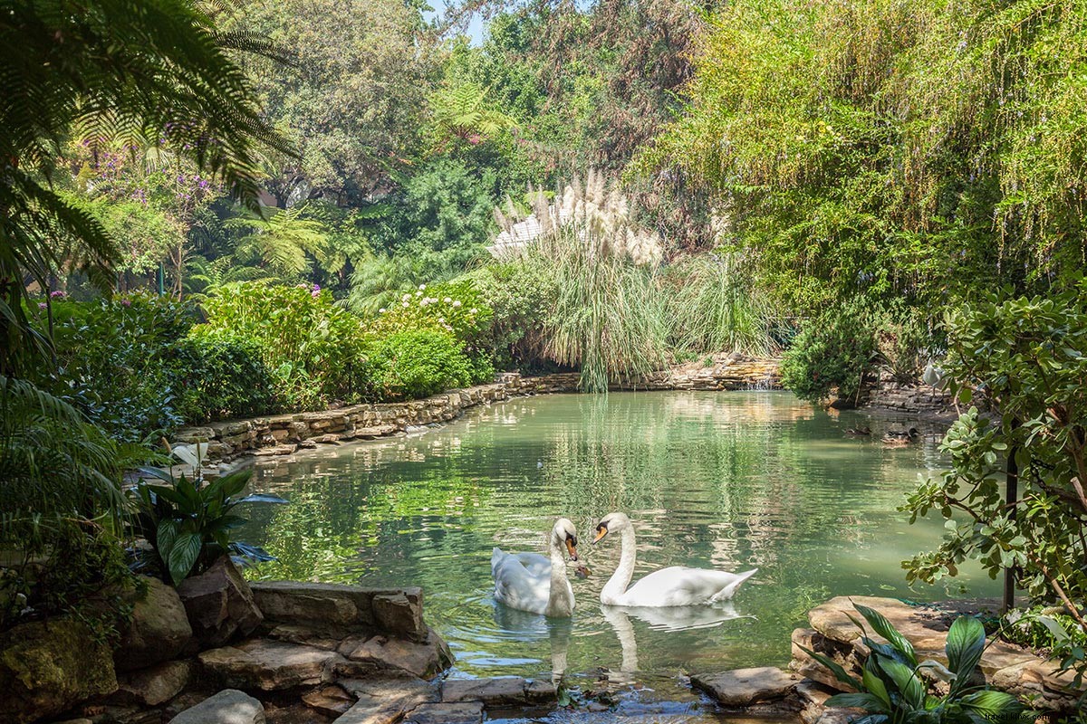 Timely Travel Deals & Exclusive News – Updated Regularly