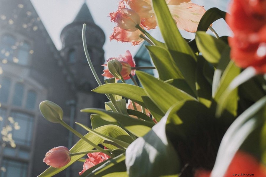 Timely Travel Deals & Exclusive News – Updated Regularly