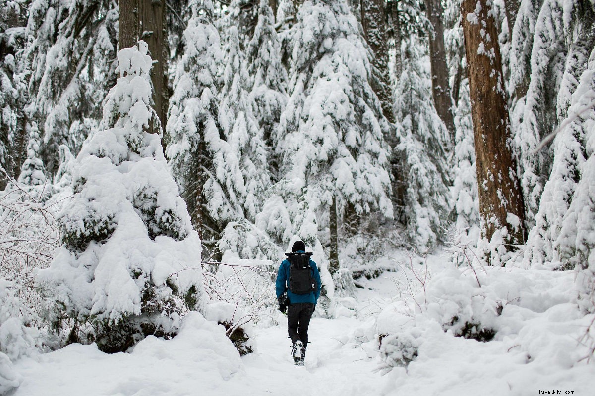 10 Unforgettable Travel Experiences: Perfect Gifts for Adventure Lovers