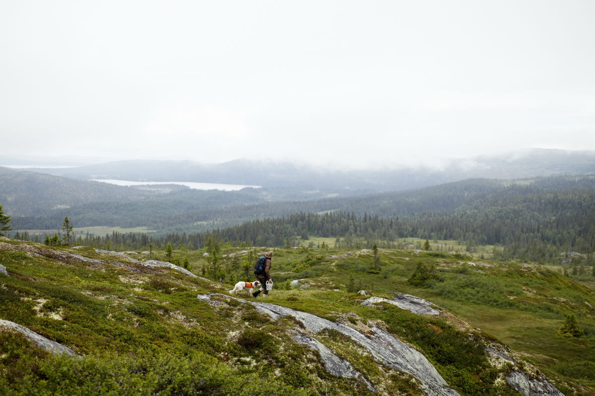 Fathom Travel Awards 2018: The World s 15 Best Foodie Escapes