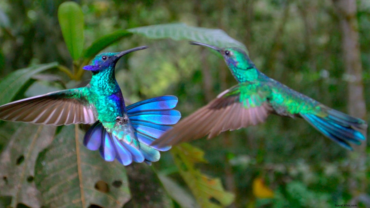 Top 14 Must-Watch Travel Documentaries on Netflix