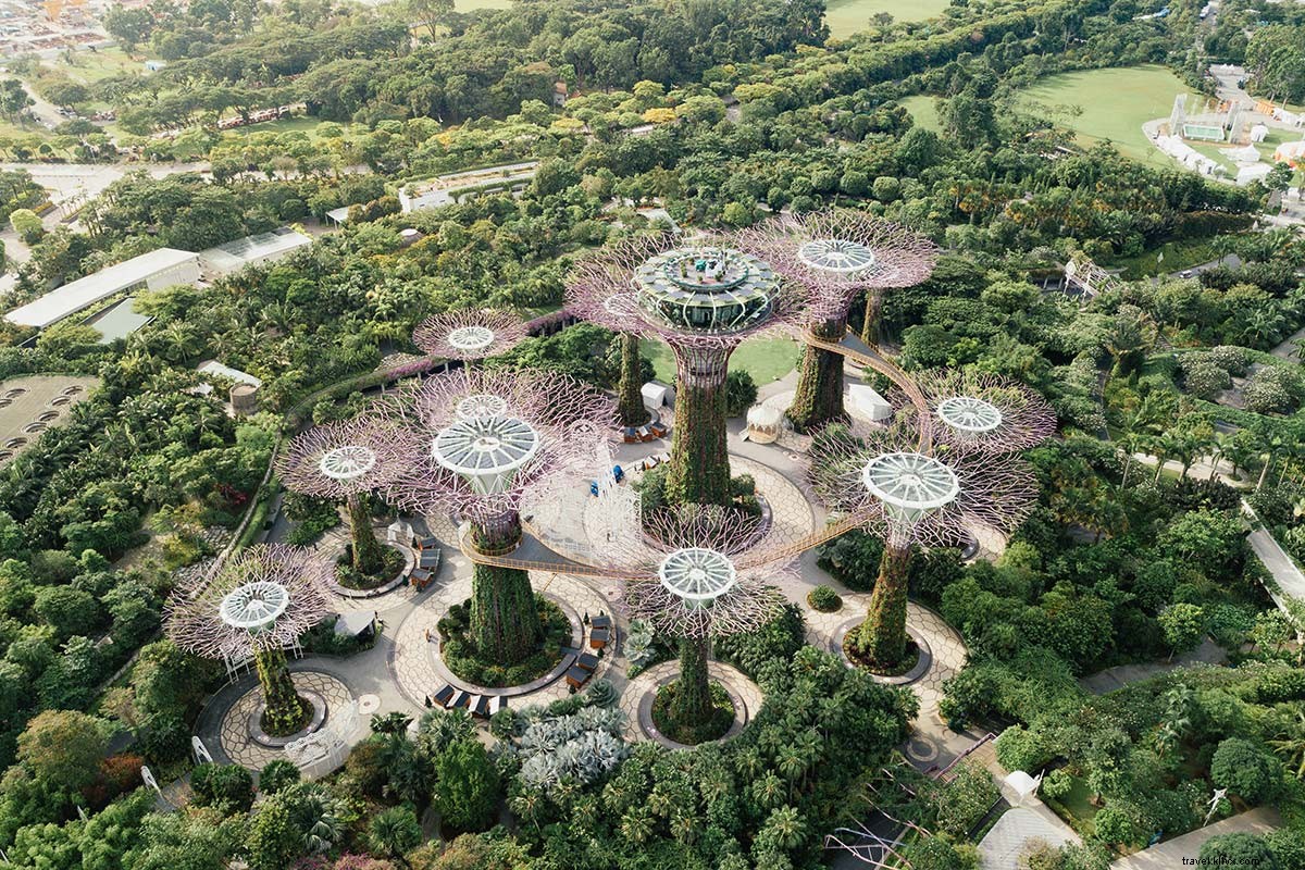 Maximize Your Changi Airport Layover: Top Tips to Explore Singapore