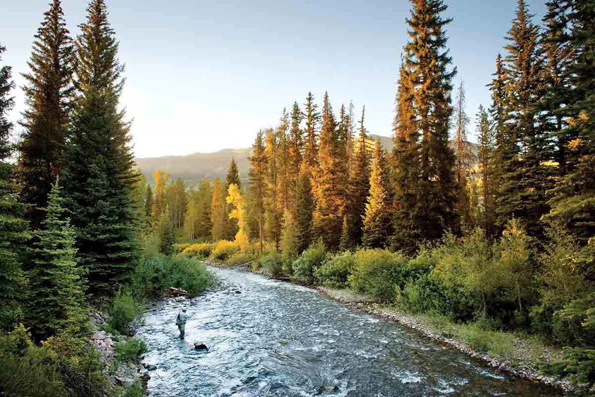 Discover 5 Stylish Kid-Friendly Hotels for Perfect Family Vacations