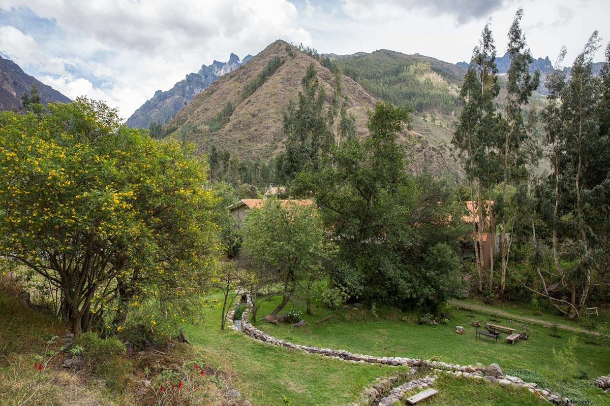 6 Budget-Friendly Hotels for Unforgettable Solo Holiday Adventures (Starting at $8/Night)