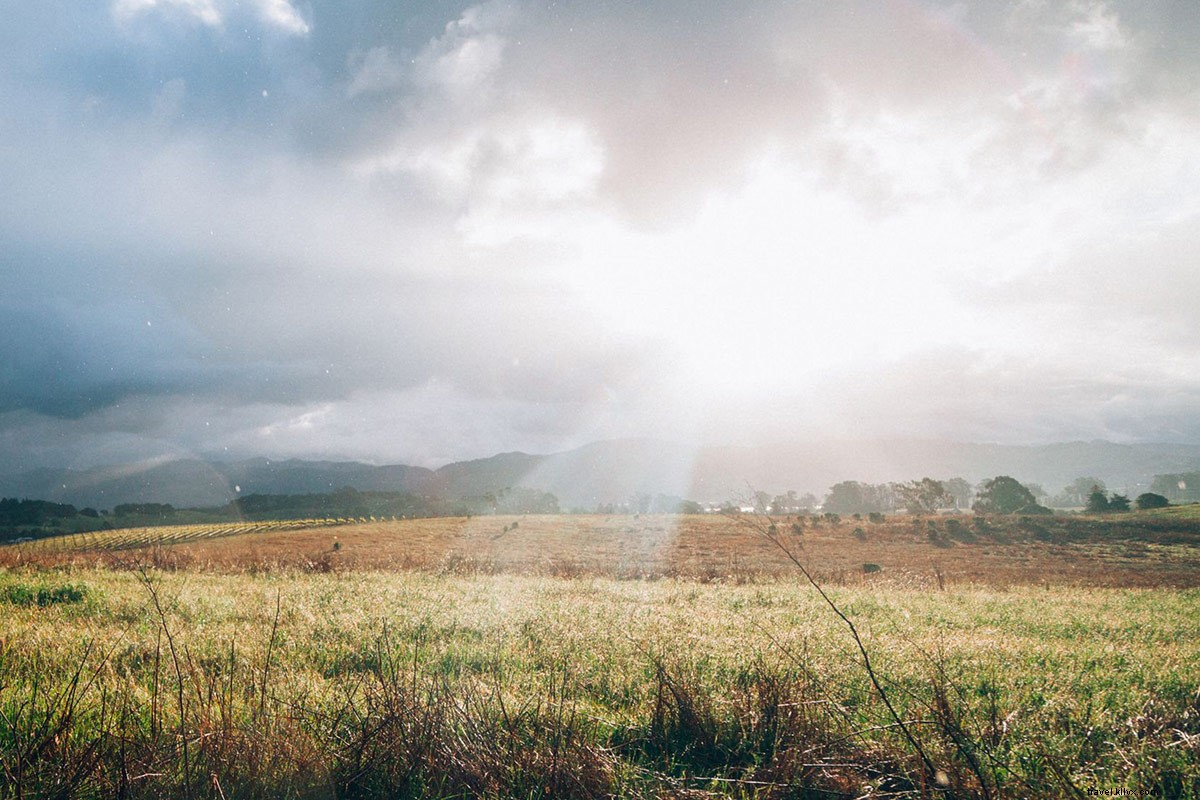 Litebook Edge: The Portable Light Therapy Device to Conquer Jet Lag