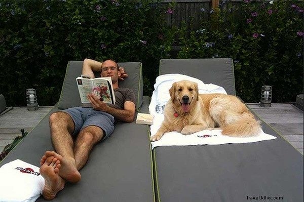 Ultimate Guide: Safely Transporting Your Pet by Air, Road, or Sea