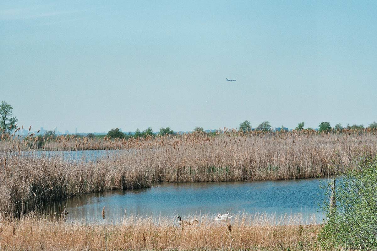 Ultimate JFK Layover Guide: Fun Ways to Escape Airport Boredom