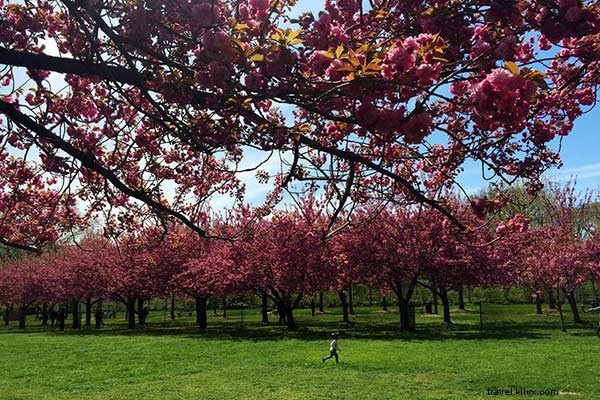 Ultimate JFK Layover Guide: Fun Ways to Escape Airport Boredom