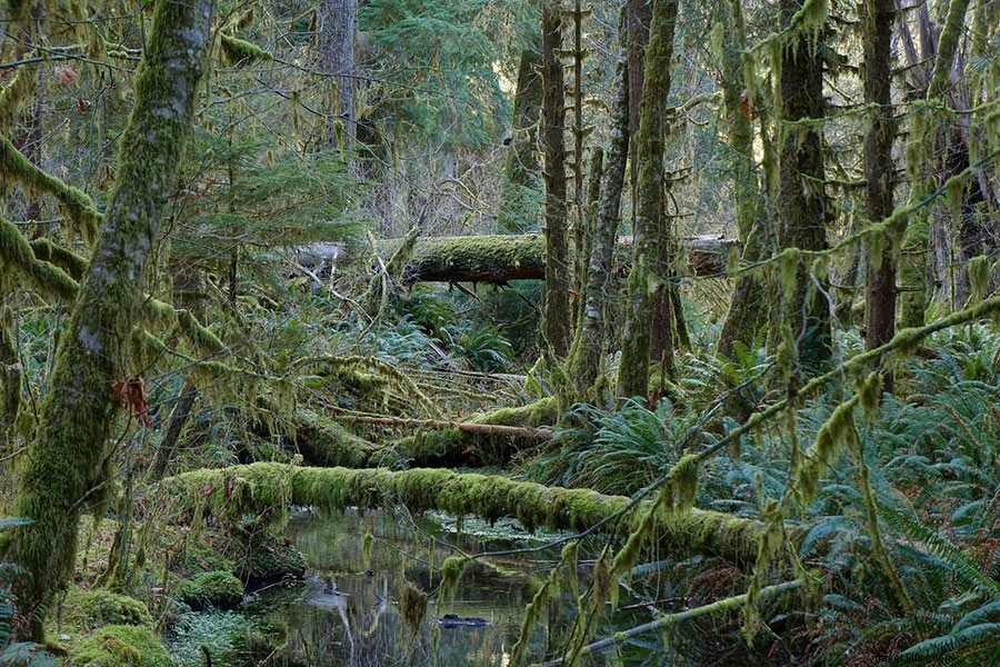 Epic Three-Day Weekend Getaways from Seattle