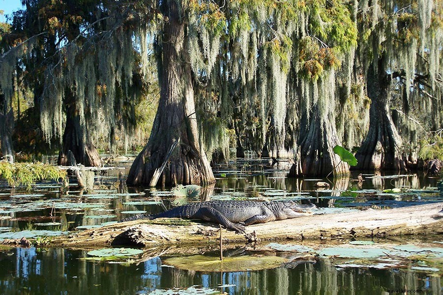 Epic Cross-Country Road Trip: Best Routes Across America