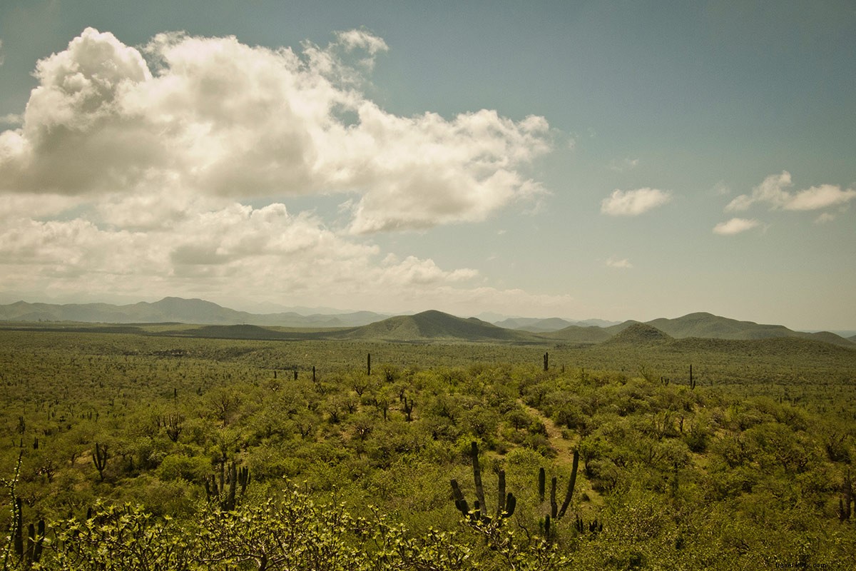 The 24 Most Anticipated Hotel Openings of 2017