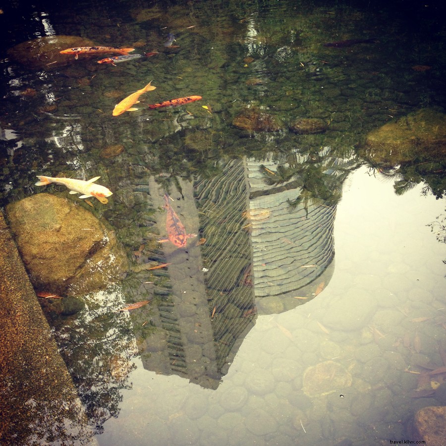 Maximize Your Hong Kong Layover: Top Tips for Hours or Overnight