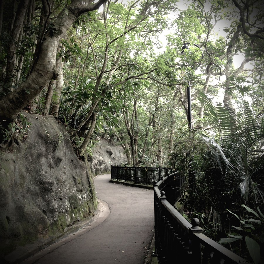 Maximize Your Hong Kong Layover: Top Tips for Hours or Overnight