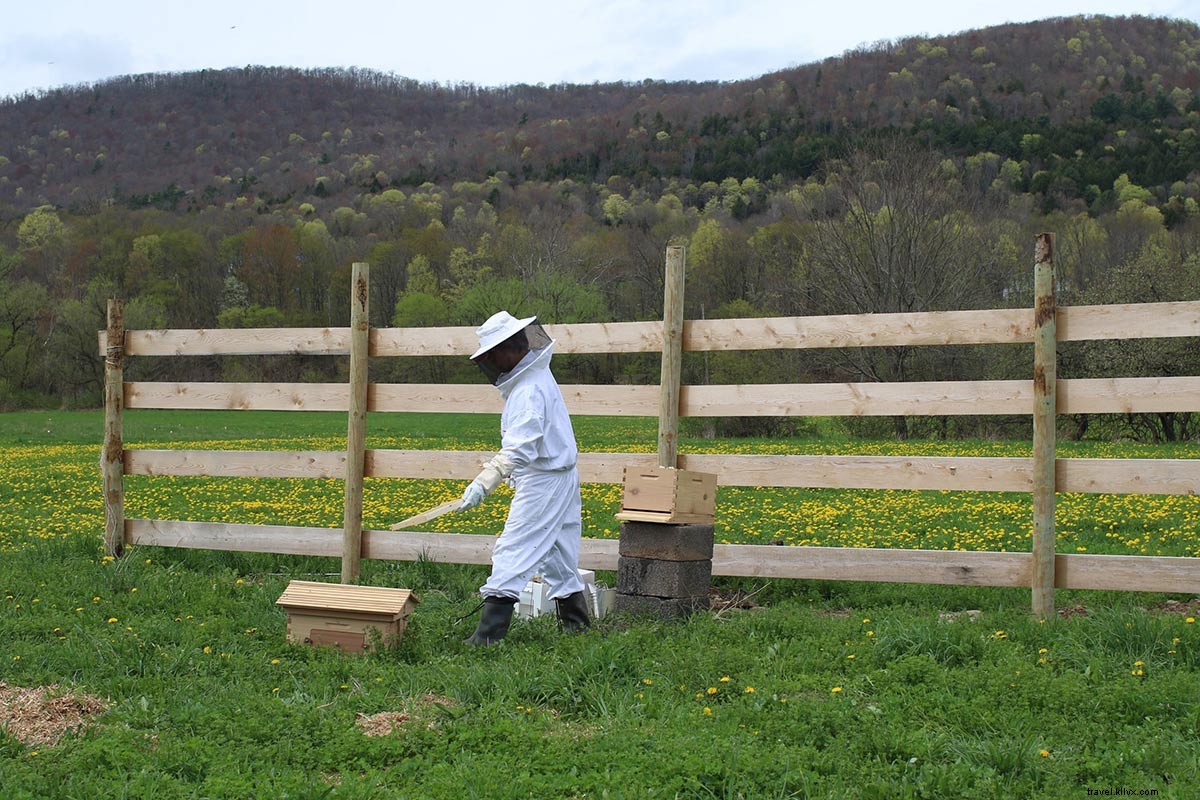 Peak Perfection: The Ultimate Autumn Weekend Itinerary in the Catskills