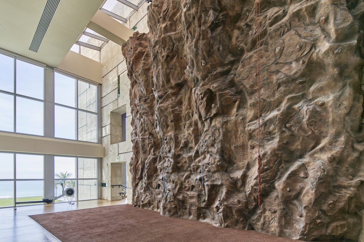 Carillon Miami Wellness Resort: Luxury Spa Escape Amid Sun, Beaches & Art