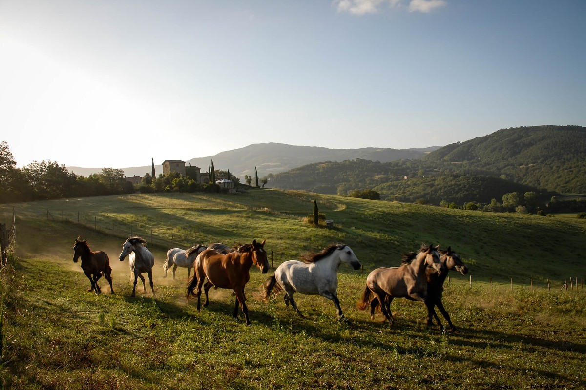 20 Compelling Reasons to Travel Again in the Post-COVID Era