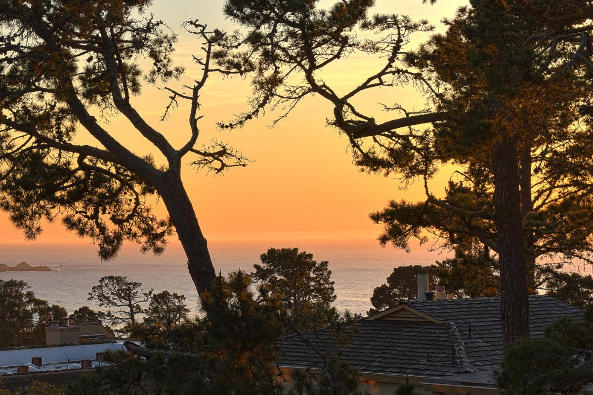 Tradewinds Carmel-by-the-Sea: Laid-Back Cal-Asian Fusion Retreat from $209